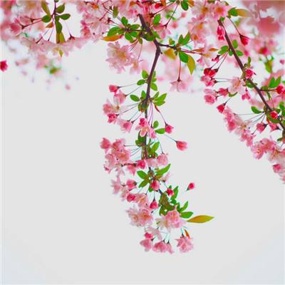 fantasy league手游下载